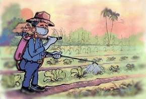 damisol-postrekovanie-3