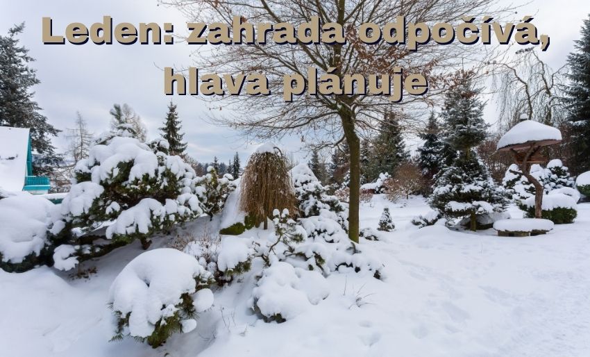 Zimní zahrada v lednu