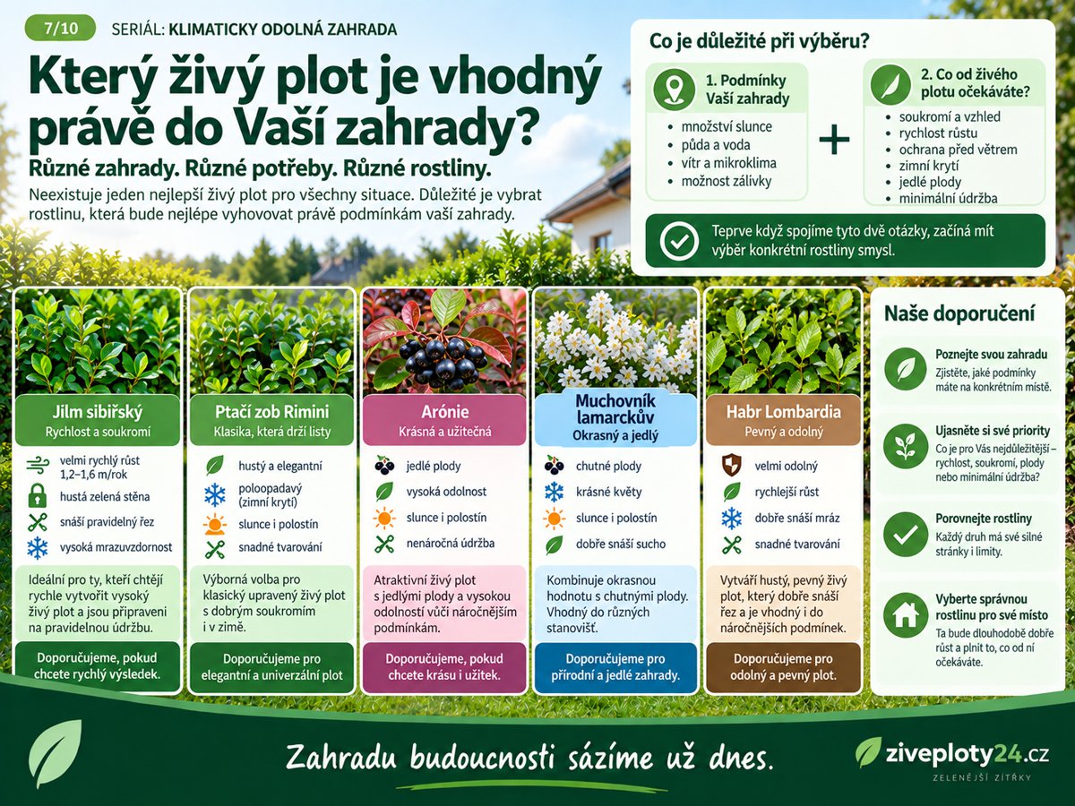 nejprve zahrada pote rostlina